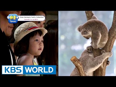 The Return Of Superman - Choo Sarang Special Ep.16